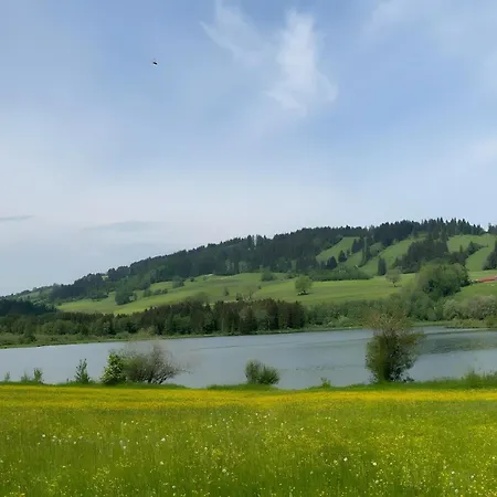 Vogel * Wertach